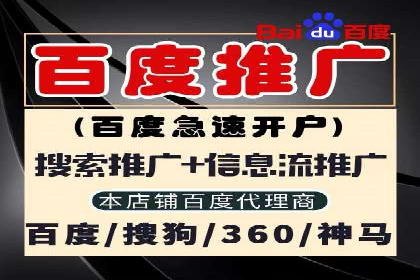 SEM代理服务：提升广告投放效果